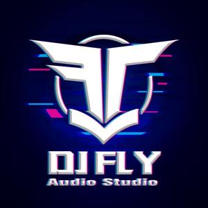 DJFLY海飞丝私房音乐头像