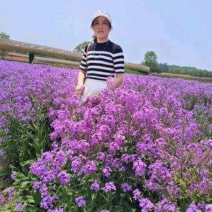淮安经济技术开发区新征程建材商行头像