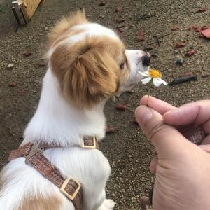 阿榕与小土豆头像