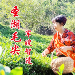 圣湖茶姐（绿色正品）头像