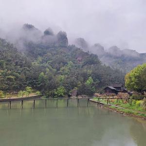 有闲没钱的草民头像