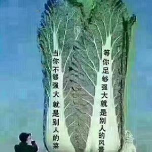清风336头像