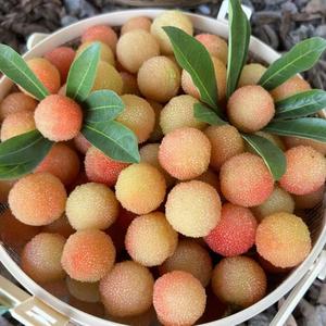 企业管理语录头像