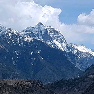 雪山飞鹰头像
