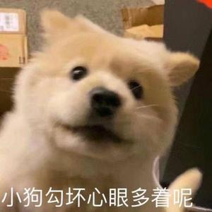 国帅阿飞头像