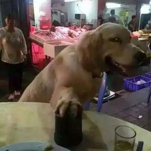 吃饭睡觉爱读书头像