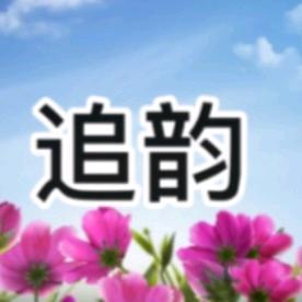 追韵影视头像