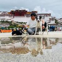 用户2057745947406头像