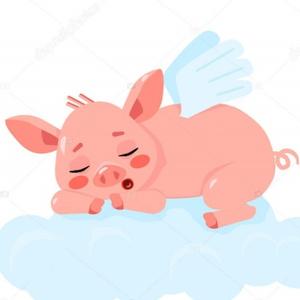 猪的白日梦头像