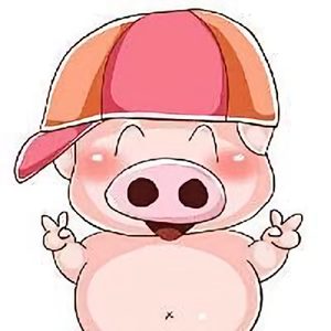 非凡麦兜头像