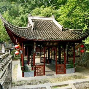艾叶，我去～头像