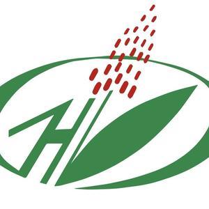 金氏品牌头像