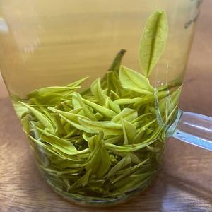 飞少-溧鸣桐里头像