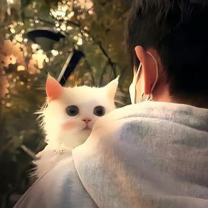 何人头像