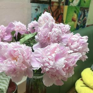 爱笑鑫祥头像