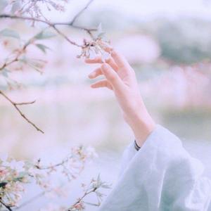 风月·大人🎋头像