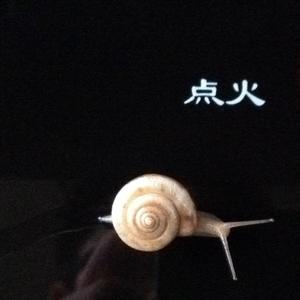 周老板摄影头像