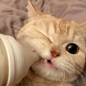 树生剪辑头像