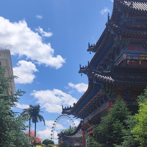 半夏是毒药头像