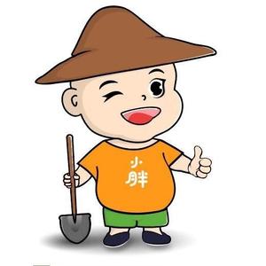 农小胖的乡愁头像