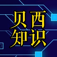 贝西的探索头像