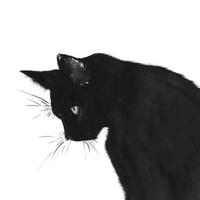 我不想睡沙发vlog头像