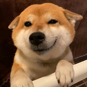 八戒先生头像