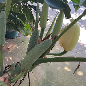 林金水头像
