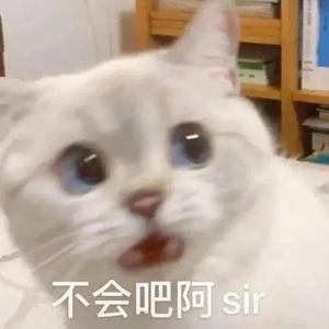 王叮铃头像