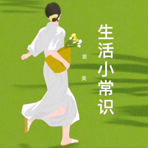 梅影顾问头像