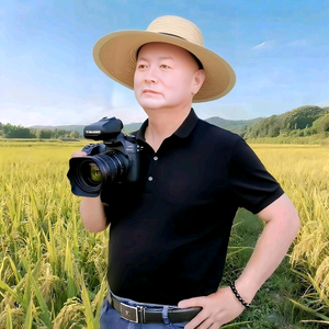红薯点灯头像