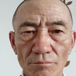 先生老黎头像