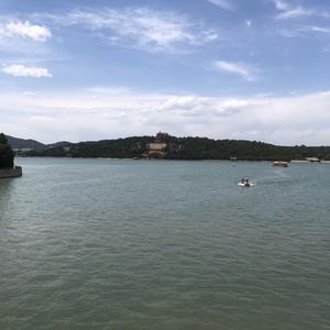 高级百香果1头像