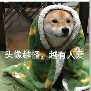 一只暴富猫Q头像