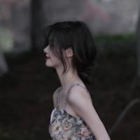 但渐渐夜偏偏头像