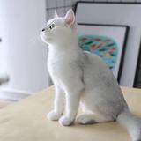 文艺布头头像