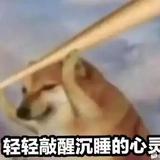 卷毛的日常生活呀头像