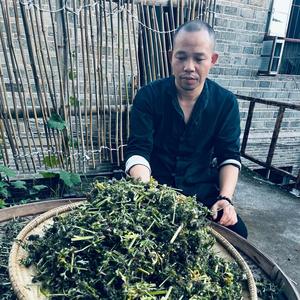 百草匠农人头像