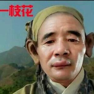 微山岛一支花头像