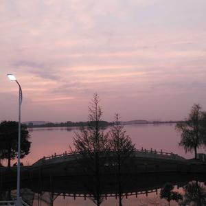 打乒乓球的冰淇淋头像
