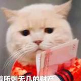 小明的生活video头像