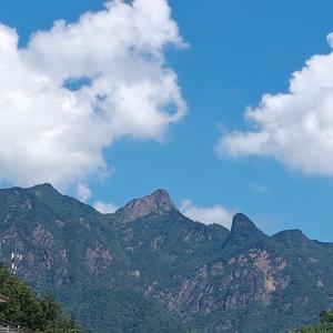 昱岭下头像