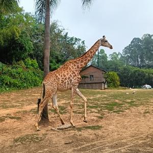 烽火随谈头像