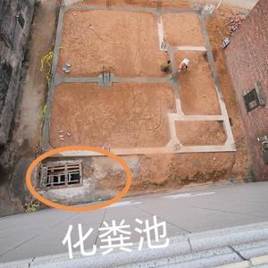 惩善除恶头像
