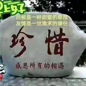 认真的面条w9A头像