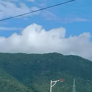 翱翔雄鹰21头像