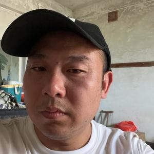@刘新文头像
