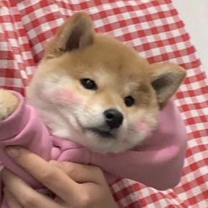 西西酱Nancy头像
