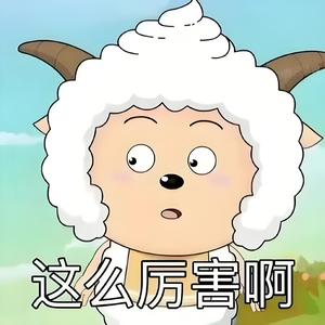 海边捡起贝壳之士头像