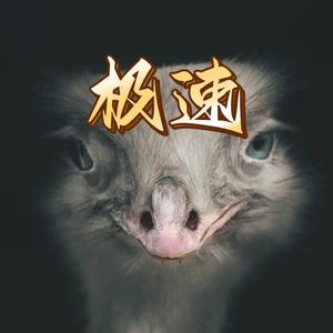 极速光束Ga头像